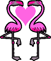amour flamants roses